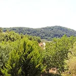 Guest Parents House Πανσιόν