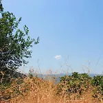 Guest Parents House 3* Μπεράτ