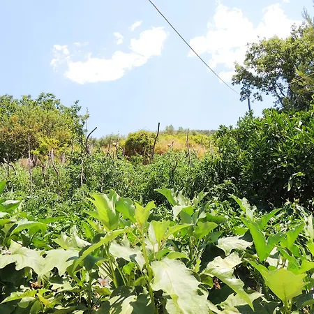 Parents House Πανσιόν Μπεράτ