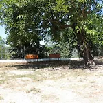 Guest Parents House
