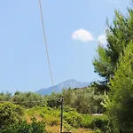Guest Parents House