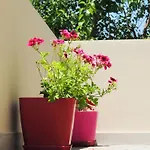 Guest Parents House Πανσιόν
