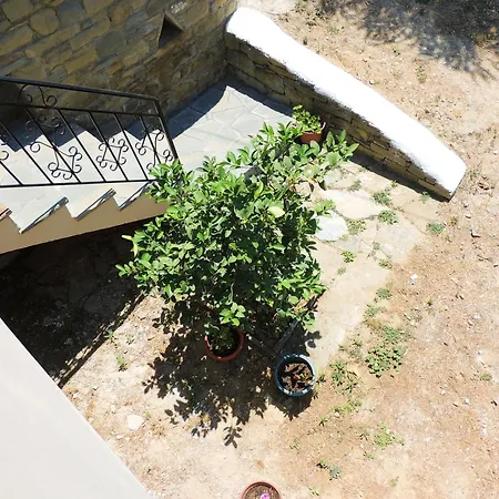 Guest Parents House 3* بيرات