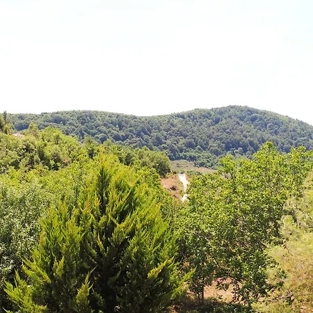 Guest Parents House بيت ضيافة