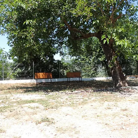 Guest Parents House