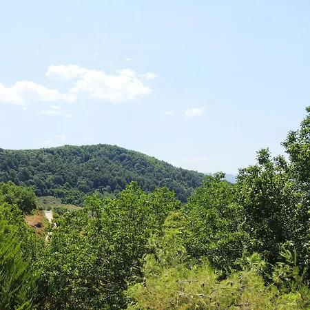 Guest Parents House بيرات