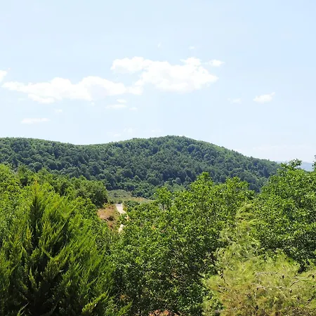 Guest Parents House بيرات