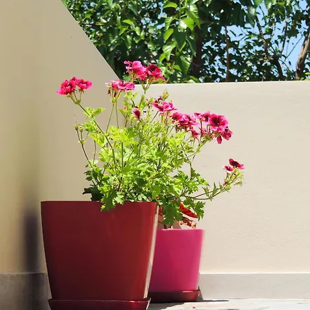 Guest Parents House بيت ضيافة