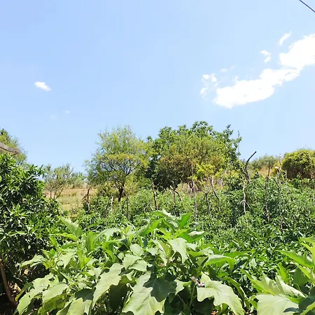 بيت ضيافة Guest Parents House