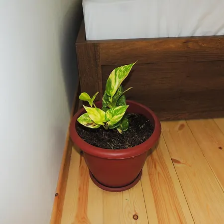 Guest Parents House بيت ضيافة بيرات