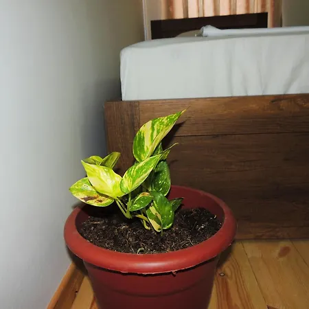 Guest Parents House بيت ضيافة
