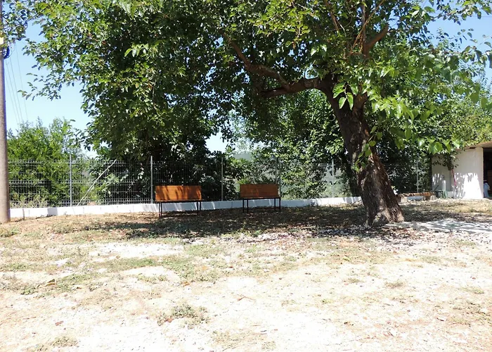 Guest Parents House